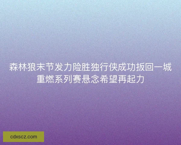 森林狼末节发力险胜独行侠成功扳回一城重燃系列赛悬念希望再起力