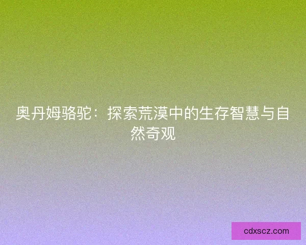 奥丹姆骆驼：探索荒漠中的生存智慧与自然奇观