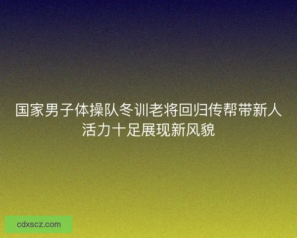 国家男子体操队冬训老将回归传帮带新人活力十足展现新风貌